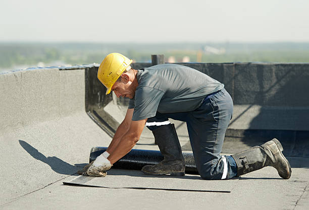 Best Eco-Friendly Insulation in Northgate, OH