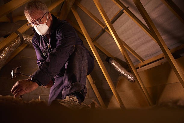 Best Geographic-Specific Insulation Services in Northgate, OH